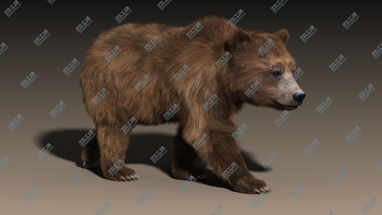 images/goods_img/202105073/Brown Bear(FUR)(RIGGED)/5.jpg